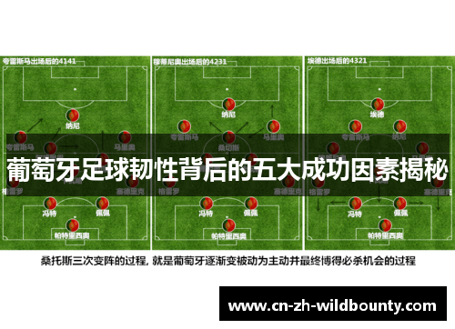 葡萄牙足球韧性背后的五大成功因素揭秘